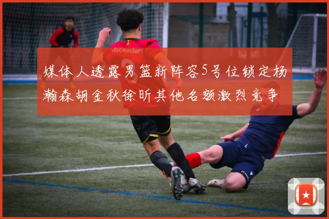 媒体人透露男篮新阵容5号位锁定杨瀚森胡金秋徐昕其他名额激烈竞争