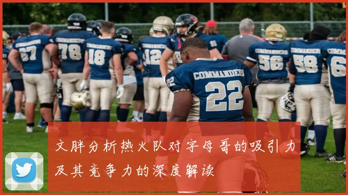 文胖分析热火队对字母哥的吸引力及其竞争力的深度解读